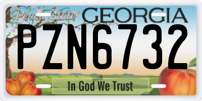 GA license plate PZN6732