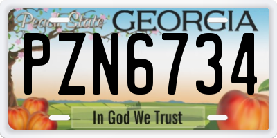 GA license plate PZN6734