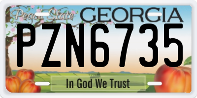 GA license plate PZN6735