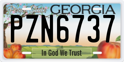 GA license plate PZN6737