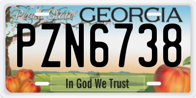 GA license plate PZN6738