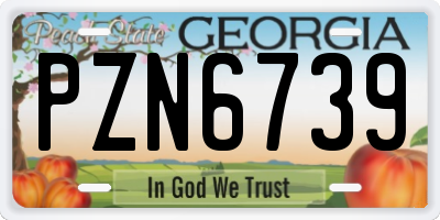 GA license plate PZN6739