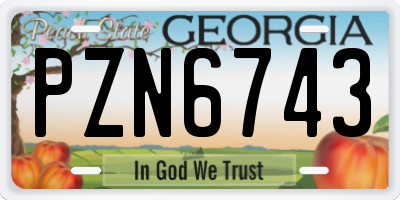 GA license plate PZN6743