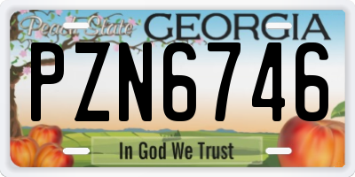 GA license plate PZN6746