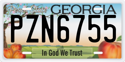 GA license plate PZN6755