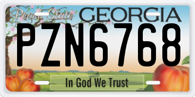 GA license plate PZN6768