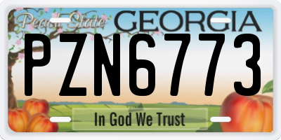 GA license plate PZN6773