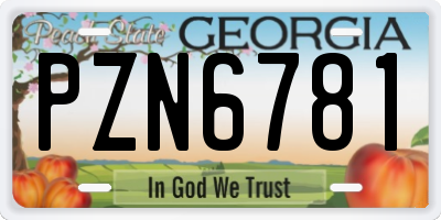 GA license plate PZN6781