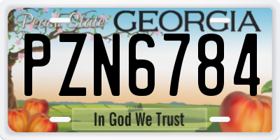 GA license plate PZN6784