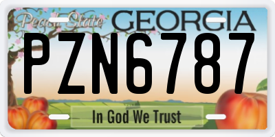 GA license plate PZN6787