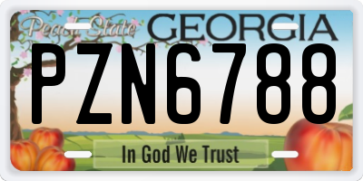GA license plate PZN6788