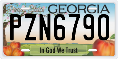 GA license plate PZN6790