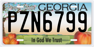 GA license plate PZN6799