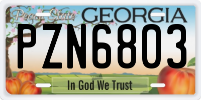 GA license plate PZN6803