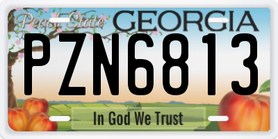 GA license plate PZN6813