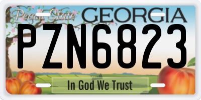 GA license plate PZN6823