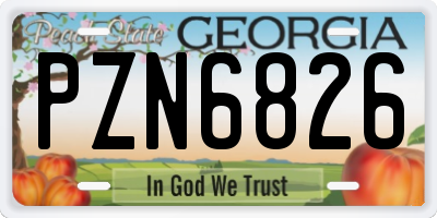 GA license plate PZN6826