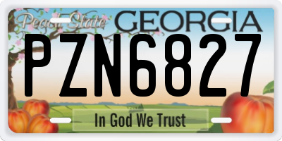 GA license plate PZN6827