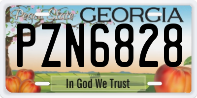 GA license plate PZN6828