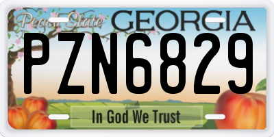 GA license plate PZN6829
