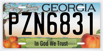 GA license plate PZN6831