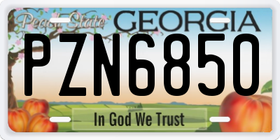 GA license plate PZN6850