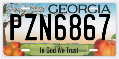GA license plate PZN6867