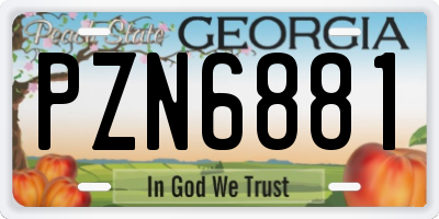 GA license plate PZN6881