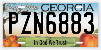 GA license plate PZN6883
