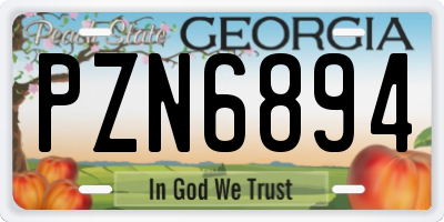 GA license plate PZN6894