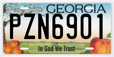 GA license plate PZN6901