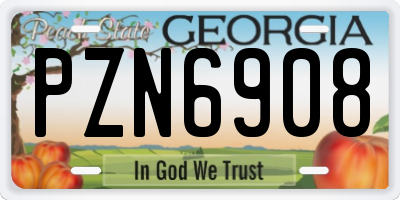 GA license plate PZN6908
