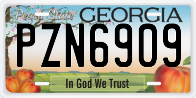 GA license plate PZN6909