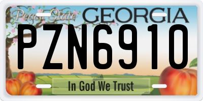 GA license plate PZN6910