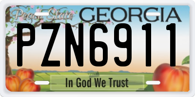GA license plate PZN6911