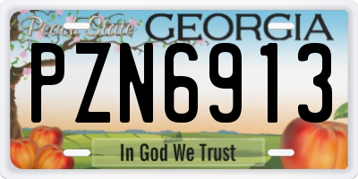 GA license plate PZN6913