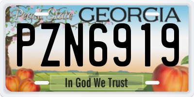 GA license plate PZN6919