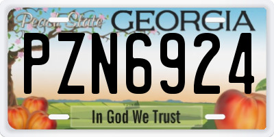GA license plate PZN6924
