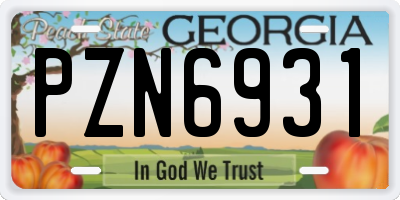 GA license plate PZN6931
