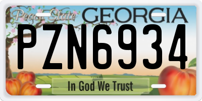 GA license plate PZN6934