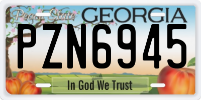 GA license plate PZN6945