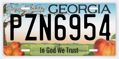 GA license plate PZN6954