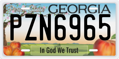 GA license plate PZN6965