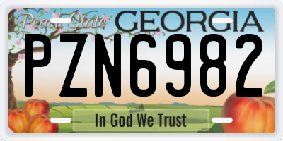 GA license plate PZN6982