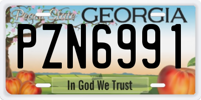 GA license plate PZN6991