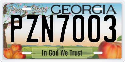 GA license plate PZN7003