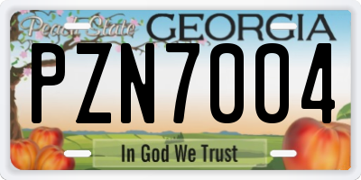 GA license plate PZN7004