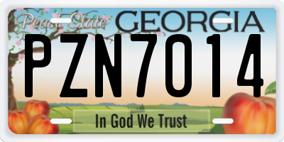 GA license plate PZN7014