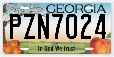 GA license plate PZN7024