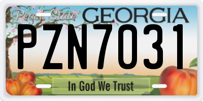 GA license plate PZN7031